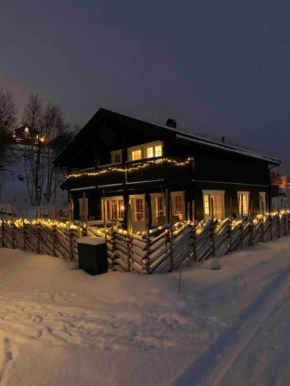 Oppdal ski in out 2 stuer 2 bad 4 sov nytt